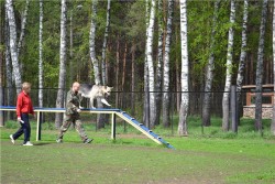 Лютар Мухтар на соревнованиях. Бум.