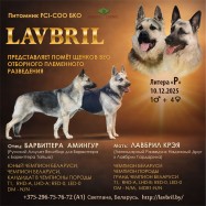 Презентация помёта Р