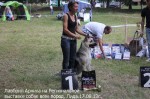 ВЕО Лавбрил Арника на Региональной выставке собак в г.Лида 17.08.13г. Хендлер Абрамович Е.