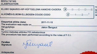Сертификат Хельхаус Лавинии 15.11.2011г