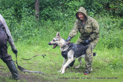 ВЕО Лавбрил Огния (12 мес), первое занятие