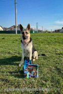 ВЕО Лавбрил Отэн. Орша, 19.04.25г