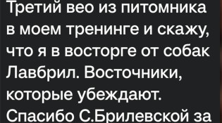 Отзыв дрессировщика Вероники Косицкой