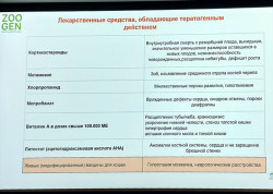 Слайд с доклада 1 ветконференции Partners 2025