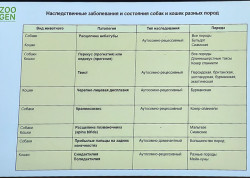 Слайд с доклада 2 ветконференции Partners 2025