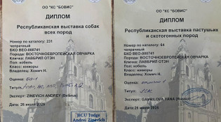 ВЕО Лавбрил Отэн. Дипломы. Новополоцк, 26.07.25