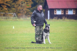 Д.Дрозд и ВЕО Жульбарс. IGP1, RED DOG 2025.