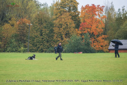 Д.Дрозд и Жульбарс. IGP1, RED DOG 2025.