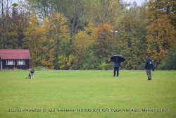 Д.Дрозд и Жульбарс. IGP1. RED DOG 2025.