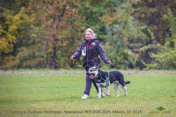 О.Пинела и ВЕО Лавбрил Нейтерри (2 года). RED DOG 2025