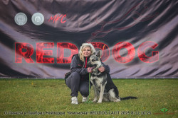 О.Пинела и ВЕО Лавбрил Нейтерри. RED DOG, Минск,10.10.25