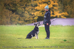 ВЕО Лавбрил Нарада (2 года), RED DOG 2025