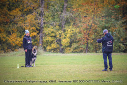 ВЕО Лавбрил Нарада, 2 года, RED DOG 2025