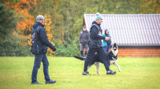 ВЕО Лавбрил Нарада, 2 года. RED DOG 2025