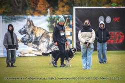 ВЕО Лавбрил Нарада. 2 года. RED DOG 2025