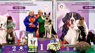 ВЕО Лавбрил Отен (16мес.) BIG1 Респ. выст. всех пород 19.10.25г.