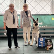 ВЕО Лавбрил Отэн (16мес.) BIG1 Респ.выст. всех пород 01.11.25