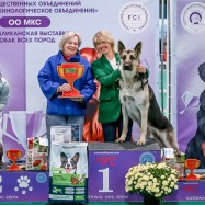 ВЕО Лавбрил Отен (16мес.) BIG1. Минск,19.10.25. Фото А.Рагинский