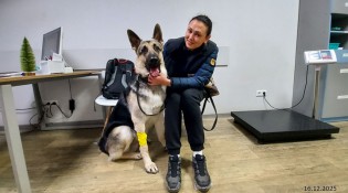 Наталья и Отэн в кабинете ветврача. Снимки на дисплазию