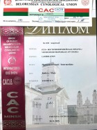 ВЕО Лавбрил Отэн. Диплом. ЦАЦИБ. Минск, 30.11.25