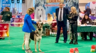 ВЕО Лавбрил Отэн. ЦАЦИБ. Минск, 29.11.25