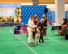 ВЕО Лавбрил Отэн. ЦАЦИБ. Минск, 30.11.25