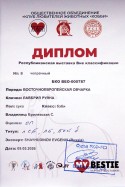Диплом Лавбрил Руяны. Респ.выст. Вне классиф. 09.05.26