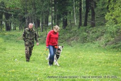 ВЕО Лавбрил Ельдар (1 год) на занятиях