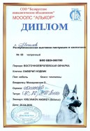 ВЕО Лавбрил Нэдвик диплом выставки 26.04.26, Могилёв