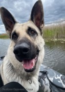 ВЕО Лавбрил Одриана, 2 года