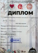 Диплом ВЕО Лавбрил Руяны. Черкассы, 19.09.2026