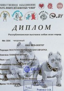 Диплом ВЕО Лавбрил Руяны. Черкассы, 19.09.26